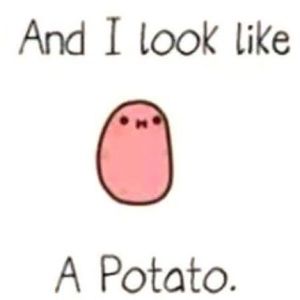 Meet your Posher, Kris